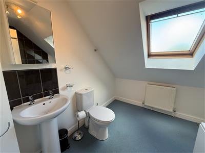 Picture 12